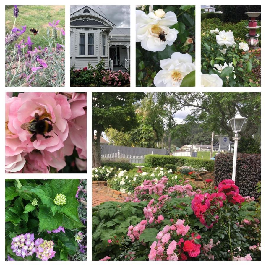 Chelsea House Bed & Breakfast Whangarei Exteriér fotografie